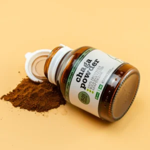 chaga mushroom powder